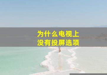 为什么电视上没有投屏选项