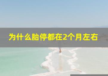 为什么胎停都在2个月左右