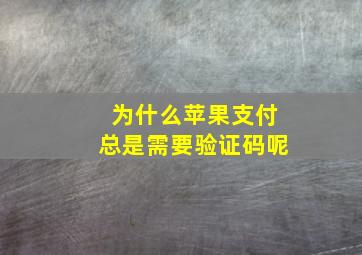 为什么苹果支付总是需要验证码呢