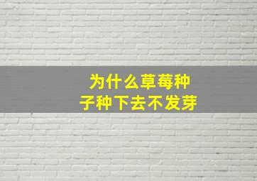 为什么草莓种子种下去不发芽