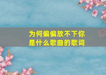 为何偏偏放不下你是什么歌曲的歌词