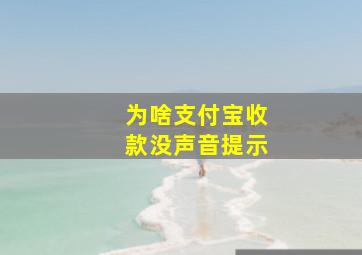 为啥支付宝收款没声音提示