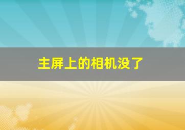 主屏上的相机没了