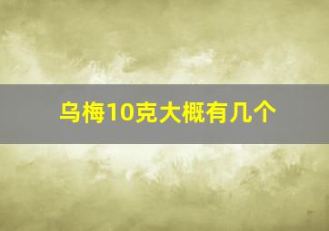 乌梅10克大概有几个