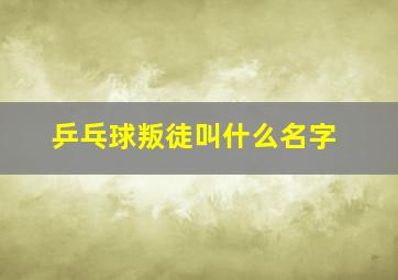 乒乓球叛徒叫什么名字