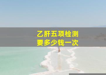 乙肝五项检测要多少钱一次