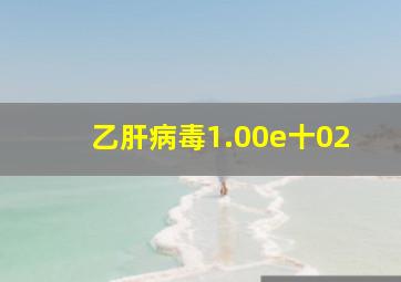 乙肝病毒1.00e十02