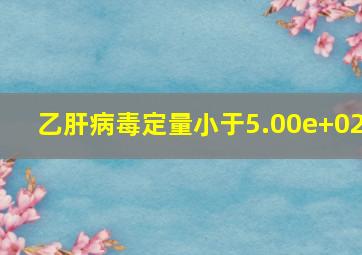 乙肝病毒定量小于5.00e+02