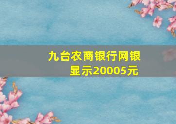 九台农商银行网银显示20005元