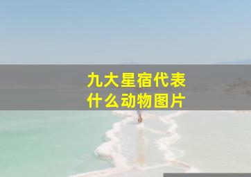 九大星宿代表什么动物图片