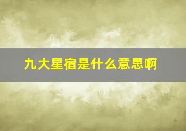 九大星宿是什么意思啊