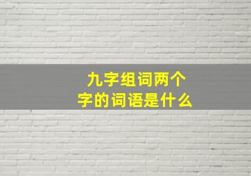 九字组词两个字的词语是什么