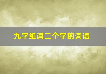 九字组词二个字的词语