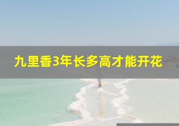 九里香3年长多高才能开花