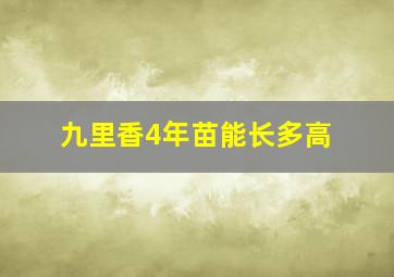 九里香4年苗能长多高