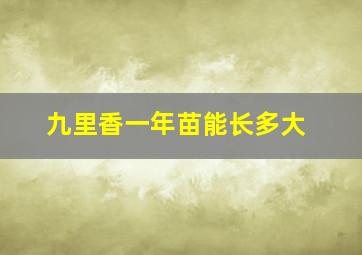 九里香一年苗能长多大