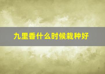 九里香什么时候栽种好