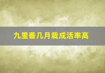 九里香几月栽成活率高