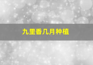 九里香几月种植