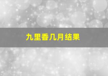 九里香几月结果