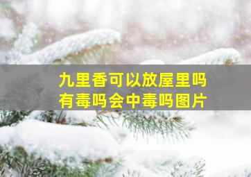 九里香可以放屋里吗有毒吗会中毒吗图片