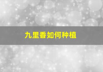 九里香如何种植