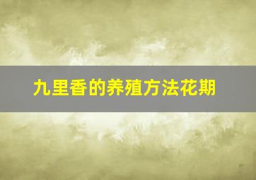 九里香的养殖方法花期