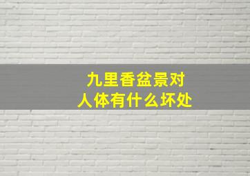 九里香盆景对人体有什么坏处