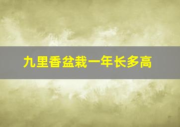 九里香盆栽一年长多高