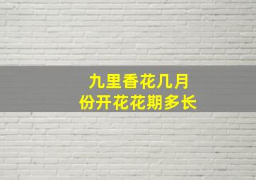 九里香花几月份开花花期多长