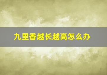 九里香越长越高怎么办