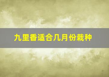 九里香适合几月份栽种