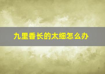 九里香长的太细怎么办