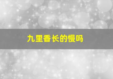 九里香长的慢吗