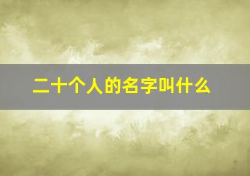 二十个人的名字叫什么