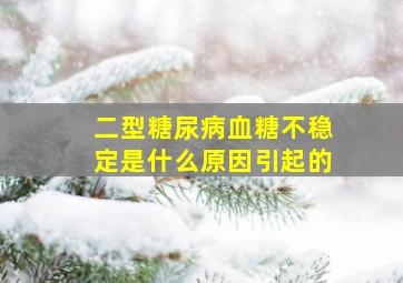 二型糖尿病血糖不稳定是什么原因引起的