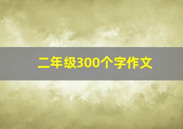 二年级300个字作文