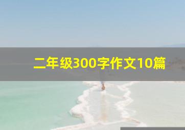 二年级300字作文10篇