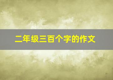 二年级三百个字的作文