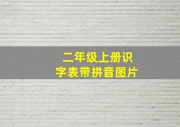 二年级上册识字表带拼音图片