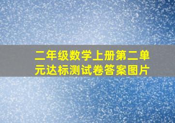 二年级数学上册第二单元达标测试卷答案图片