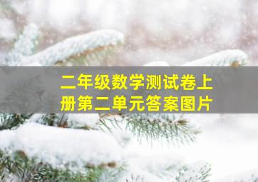 二年级数学测试卷上册第二单元答案图片