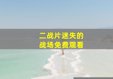 二战片迷失的战场免费观看