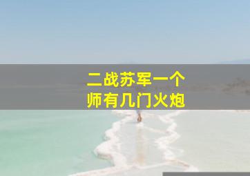 二战苏军一个师有几门火炮