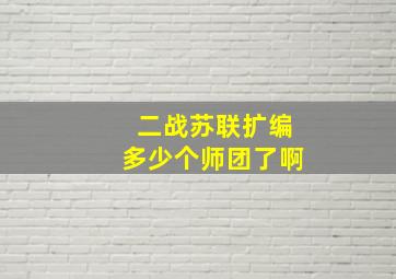 二战苏联扩编多少个师团了啊