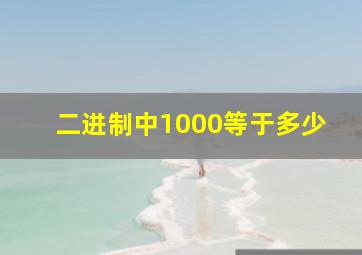 二进制中1000等于多少