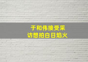 于和伟接受采访想拍白日焰火