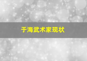 于海武术家现状