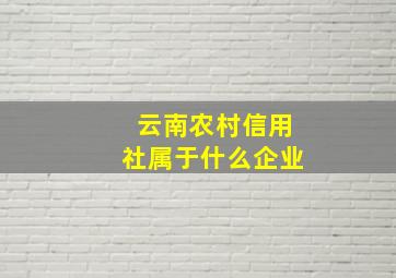 云南农村信用社属于什么企业