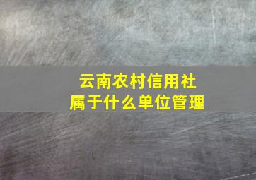 云南农村信用社属于什么单位管理